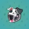 Neko Helmet #6668