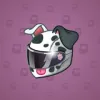 Neko Helmet #6847