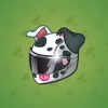 Neko Helmet #7144