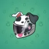Neko Helmet #7234