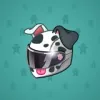 Neko Helmet #7628
