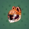 Neko Helmet #7766