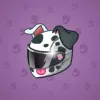 Neko Helmet #7915