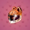 Neko Helmet #7993