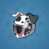 Neko Helmet #8827