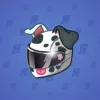 Neko Helmet #8834