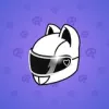 Neko Helmet #8993
