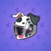 Neko Helmet #9306