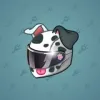 Neko Helmet #9526