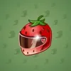 Neko Helmet #9619