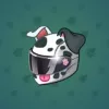 Neko Helmet #9702