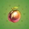 Precious Peach #1025
