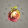Precious Peach #1062