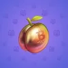Precious Peach #1167