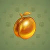 Precious Peach #1207