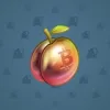 Precious Peach #1298
