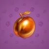 Precious Peach #1399