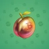 Precious Peach #1413