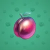 Precious Peach #1414