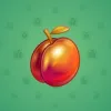 Precious Peach #1510