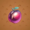 Precious Peach #1574