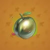 Precious Peach #1581