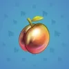 Precious Peach #1603