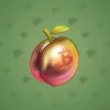 Precious Peach #1623