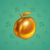 Precious Peach #1639