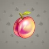Precious Peach #1643