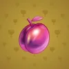 Precious Peach #1653