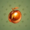 Precious Peach #1714