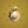 Precious Peach #1764
