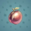 Precious Peach #1804