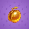 Precious Peach #1806