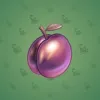 Precious Peach #1814