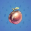 Precious Peach #1853