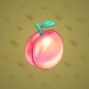 Precious Peach #210