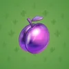 Precious Peach #2125