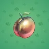 Precious Peach #2142