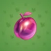 Precious Peach #2155