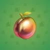 Precious Peach #2175