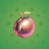 Precious Peach #2192