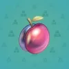 Precious Peach #2264
