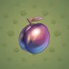 Precious Peach #2268