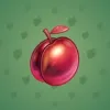 Precious Peach #2284