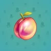 Precious Peach #2340