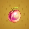Precious Peach #2343