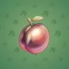 Precious Peach #2354