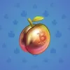 Precious Peach #2355